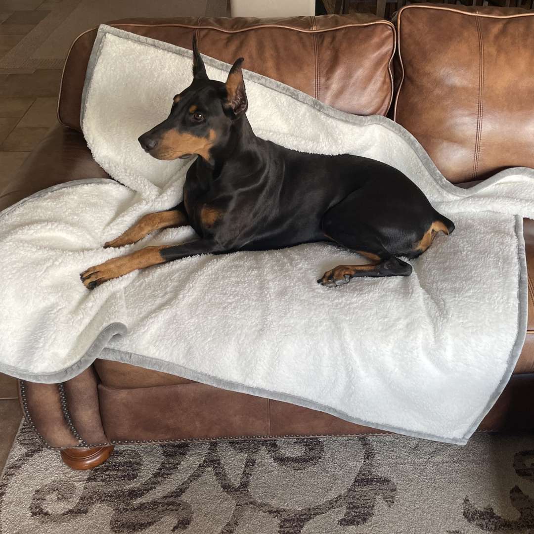 Waterproof Plush Dog Blanket