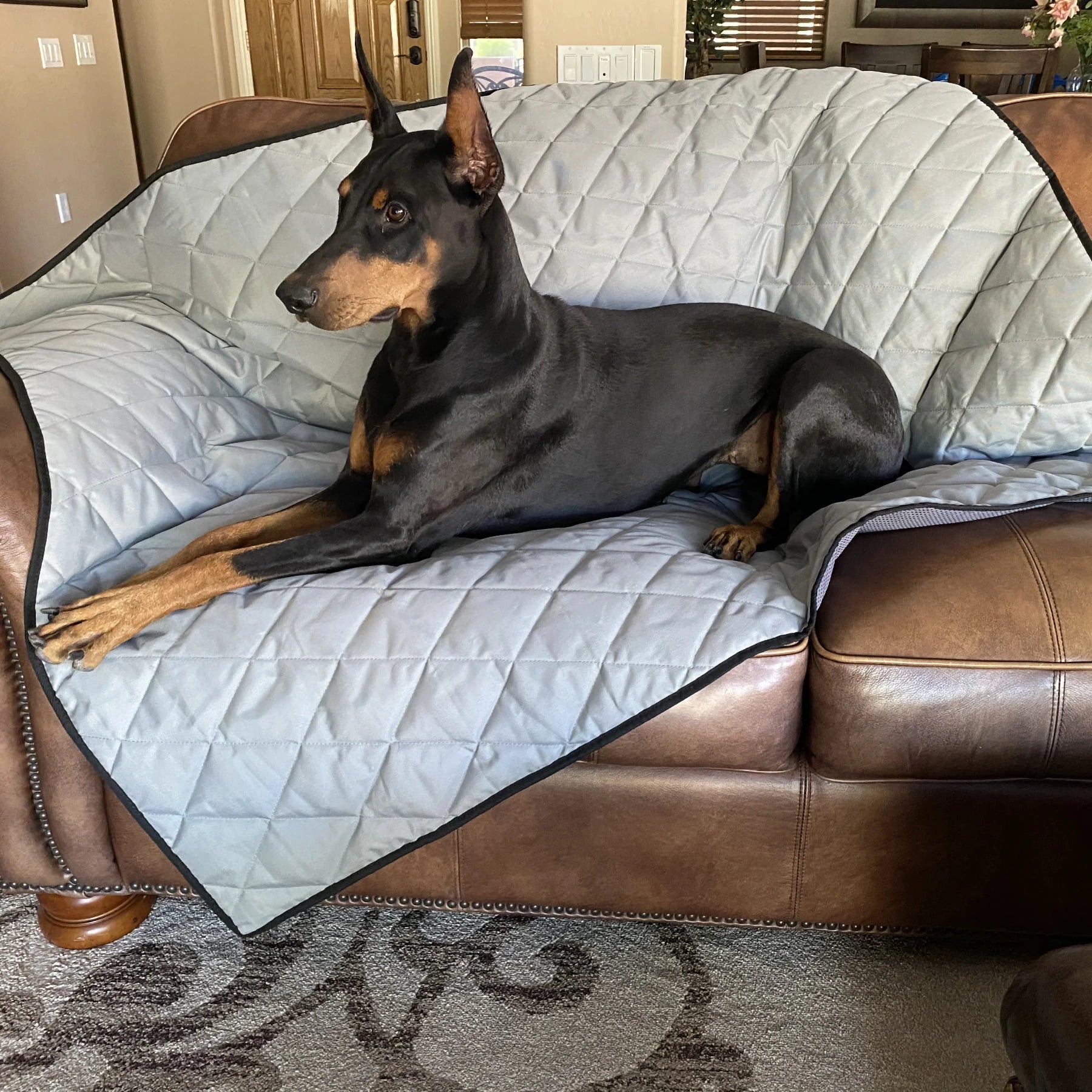 Heavy Duty Dog Blanket