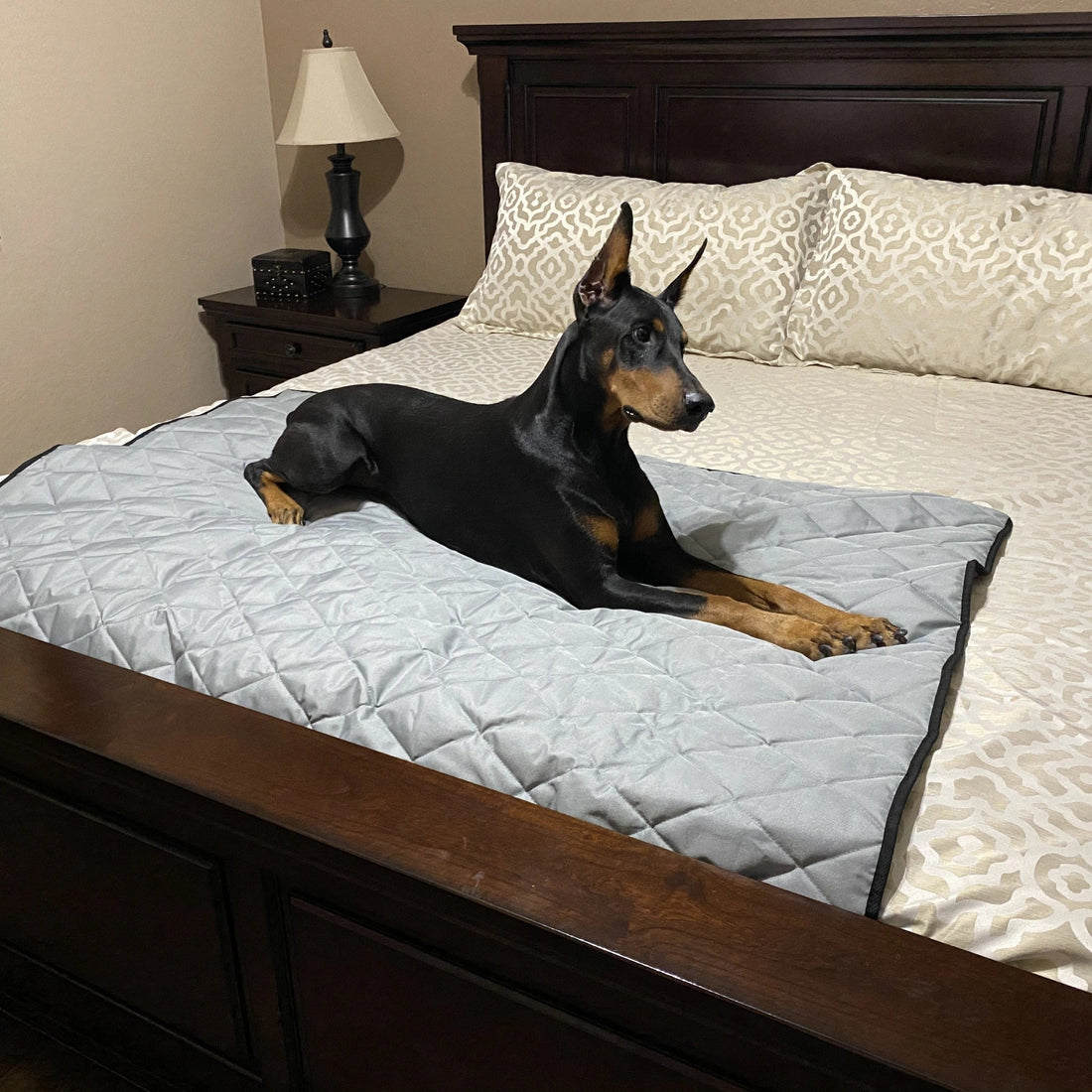 Heavy Duty Dog Blanket on bed with dog