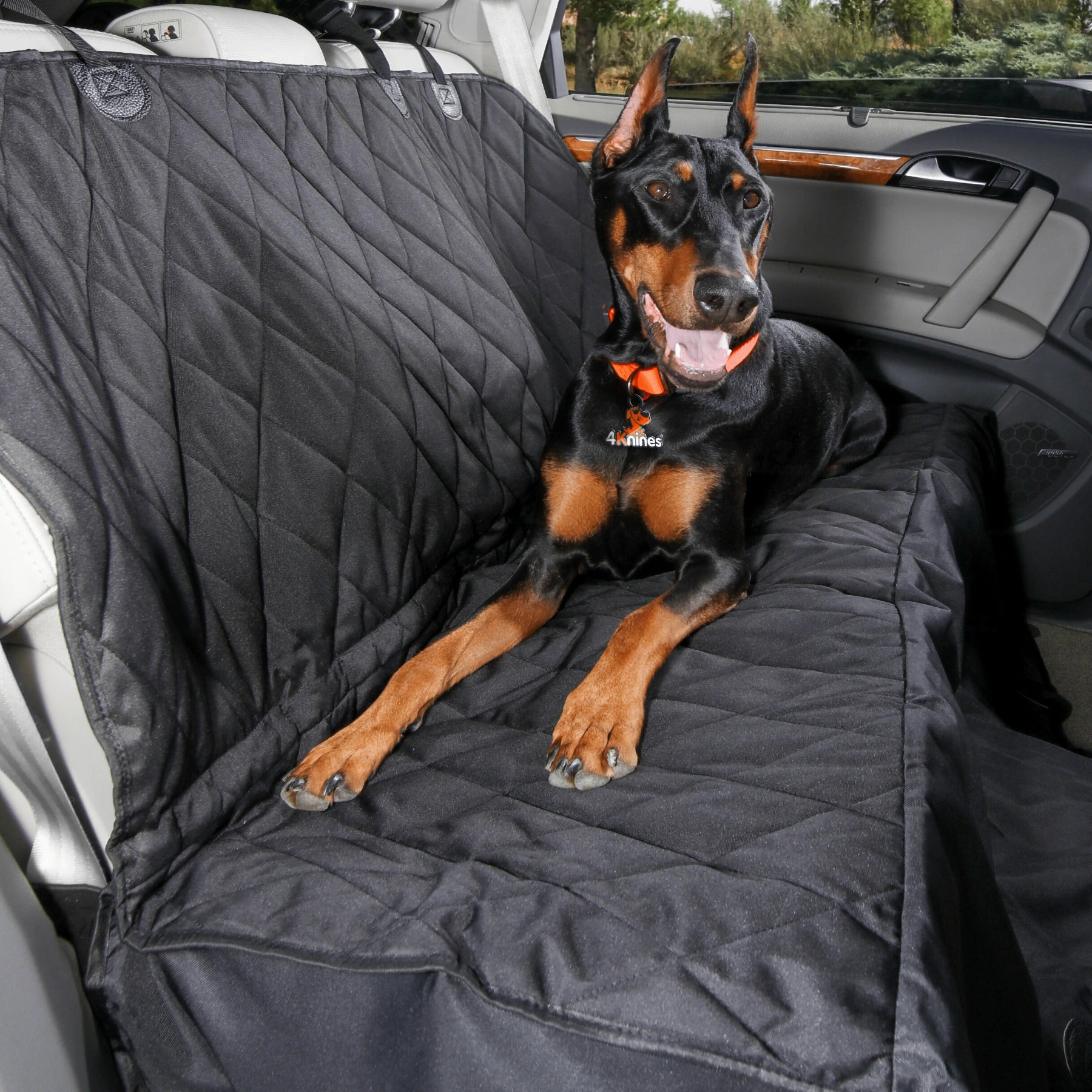 Dog hammocks for clearance cars back seat