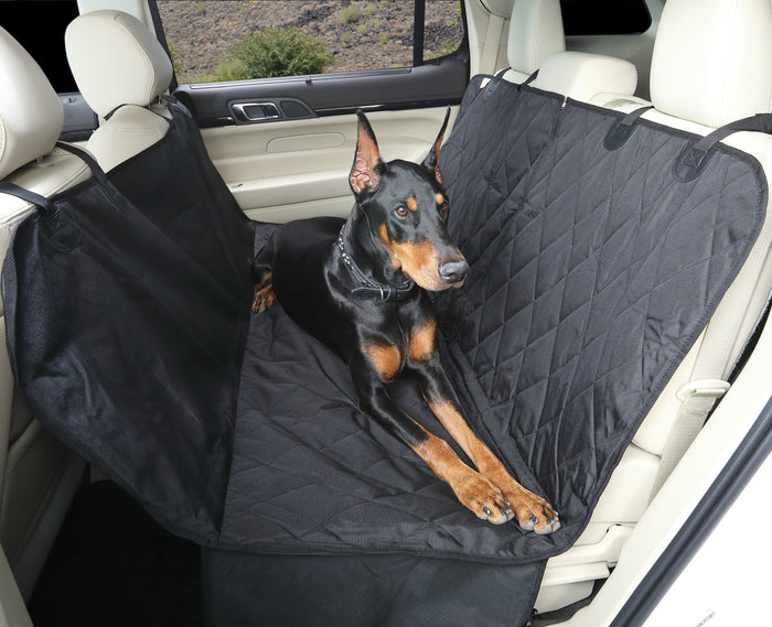 Back Seat Protection