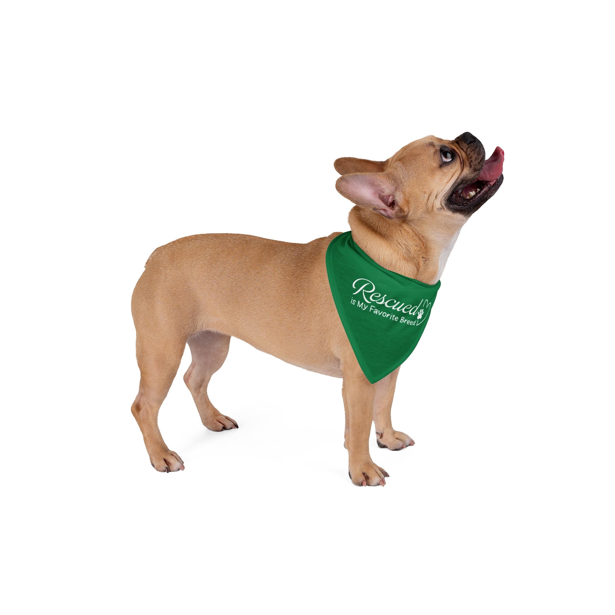 Rescued is My Favorite Breed | Green Dog Bandana
