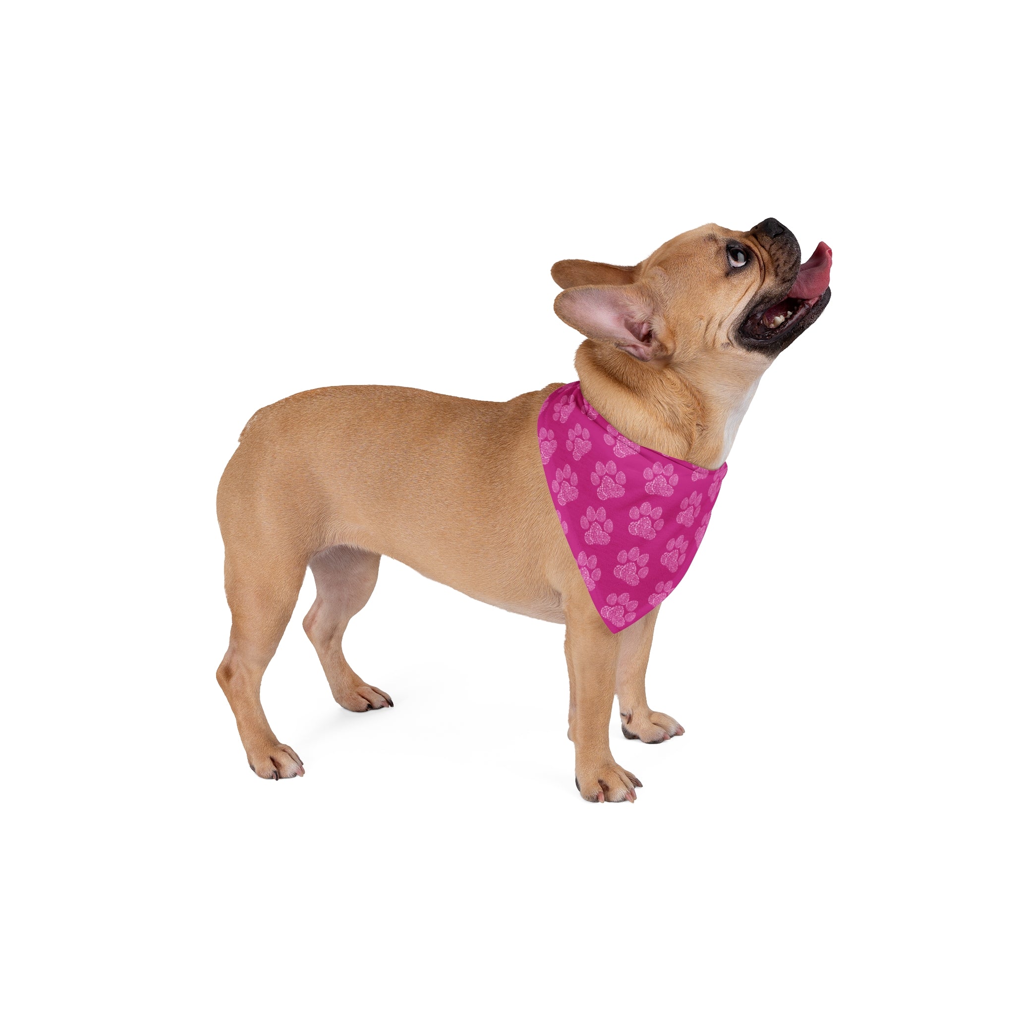 Flower Paw | Pink Dog Bandana