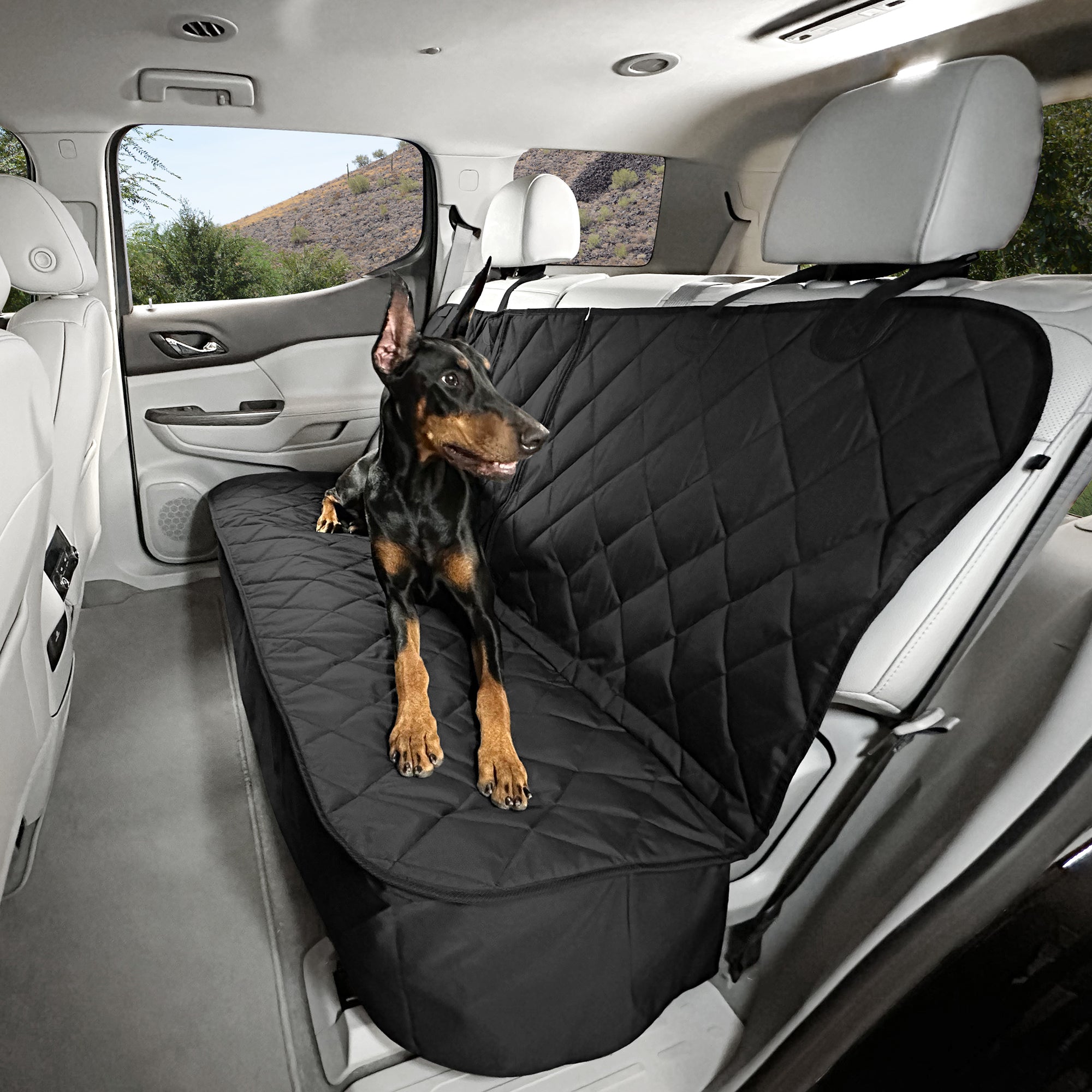 Dog Rear Seat Cover - No Hammock
