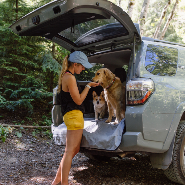 SUV Covers