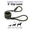 Slip Lead Dog Leash 6FT Version 2