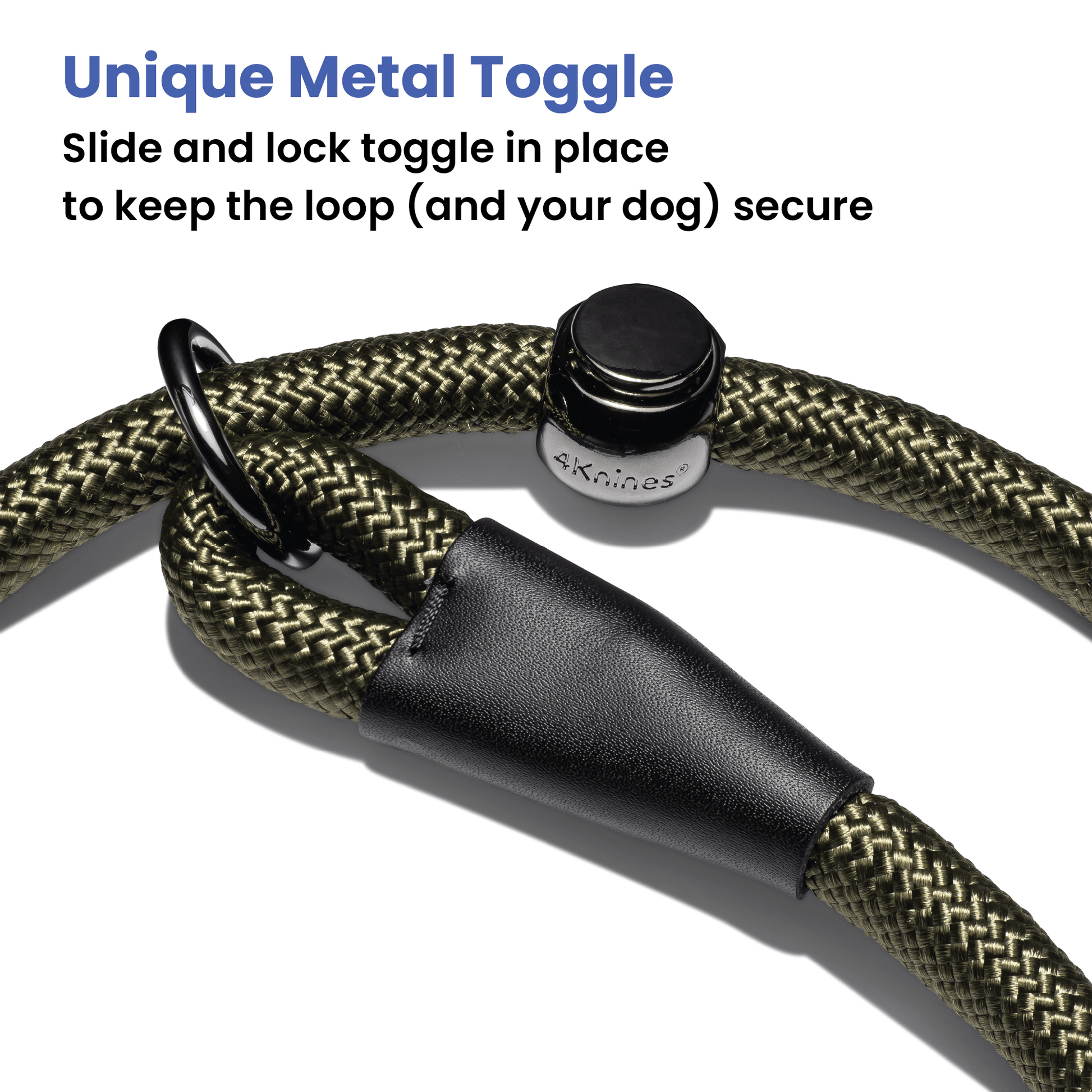 Slip Lead Dog Leash 6FT Version 2