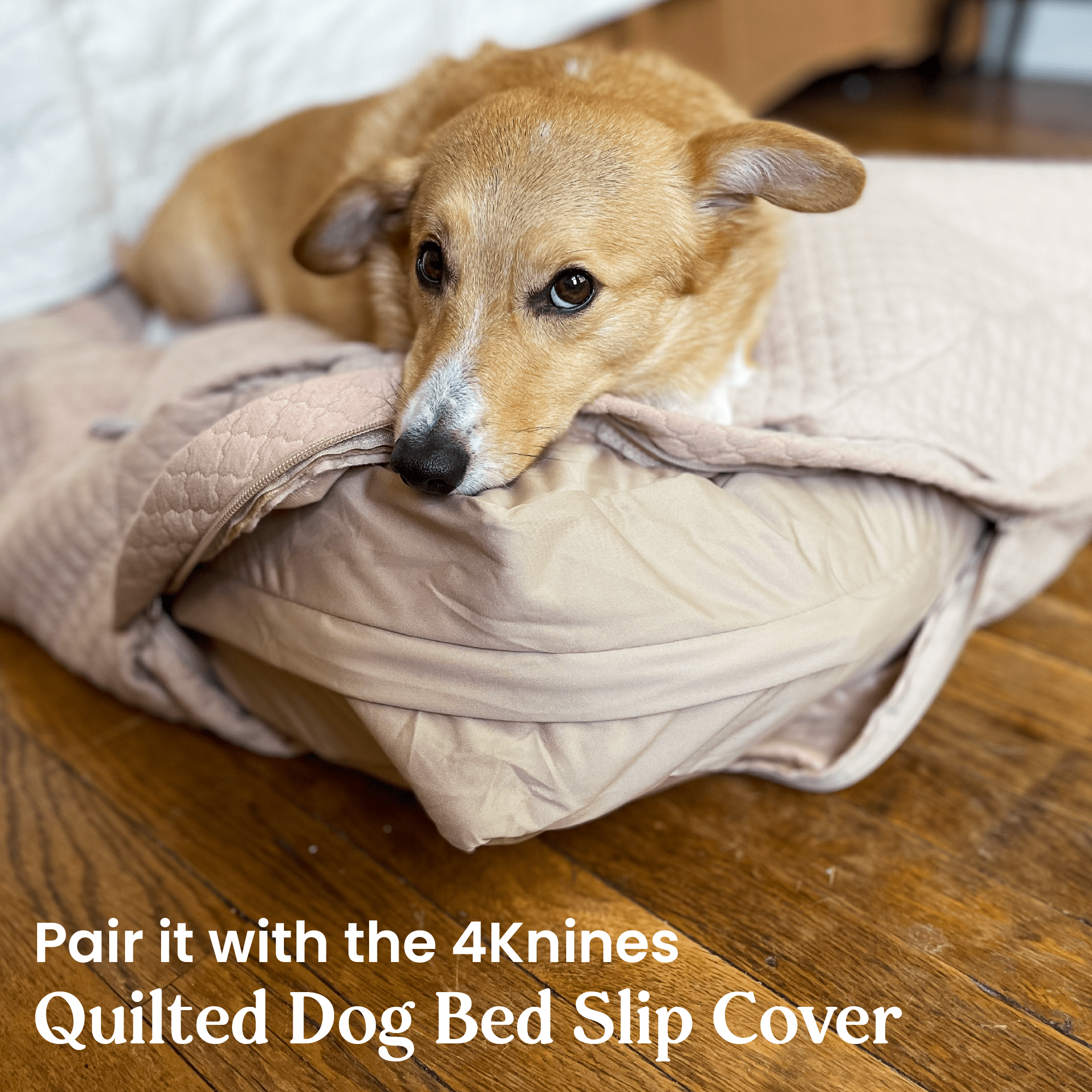 Dog bed shop with waterproof liner