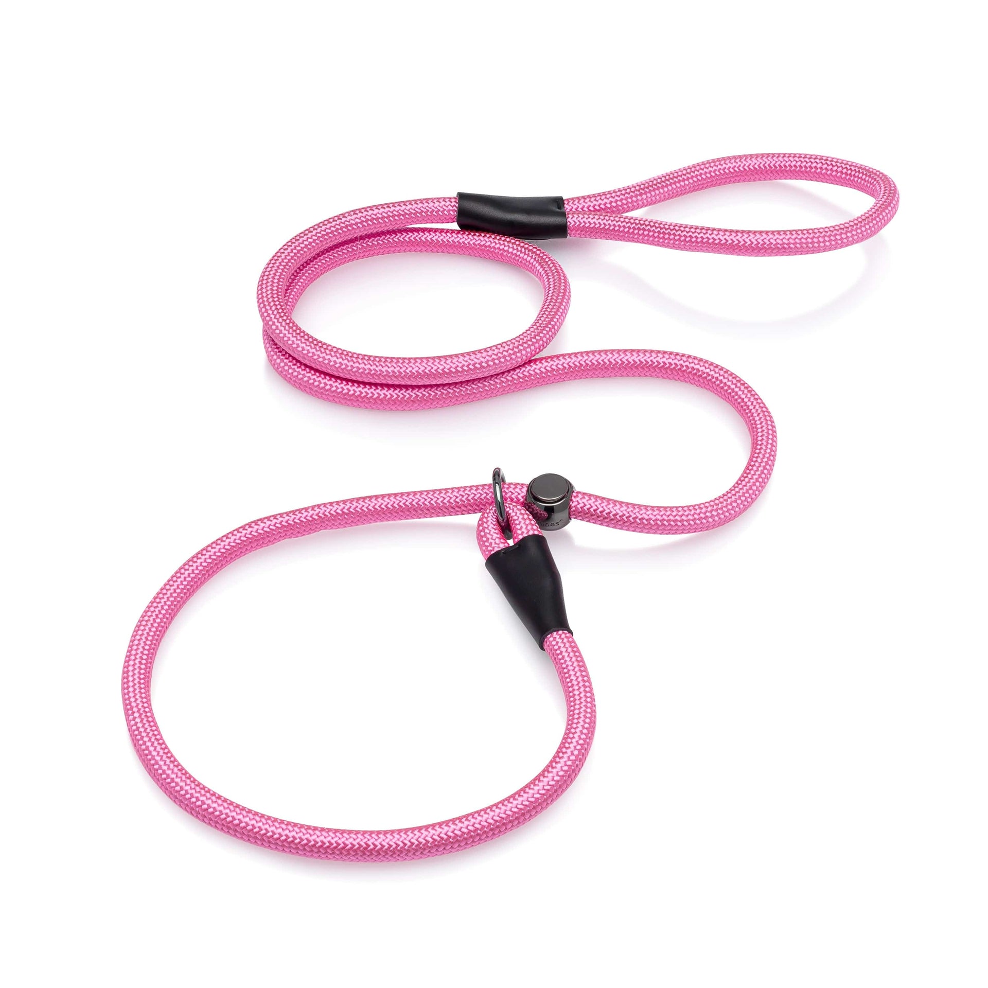 dog collars long slip leads for dogs