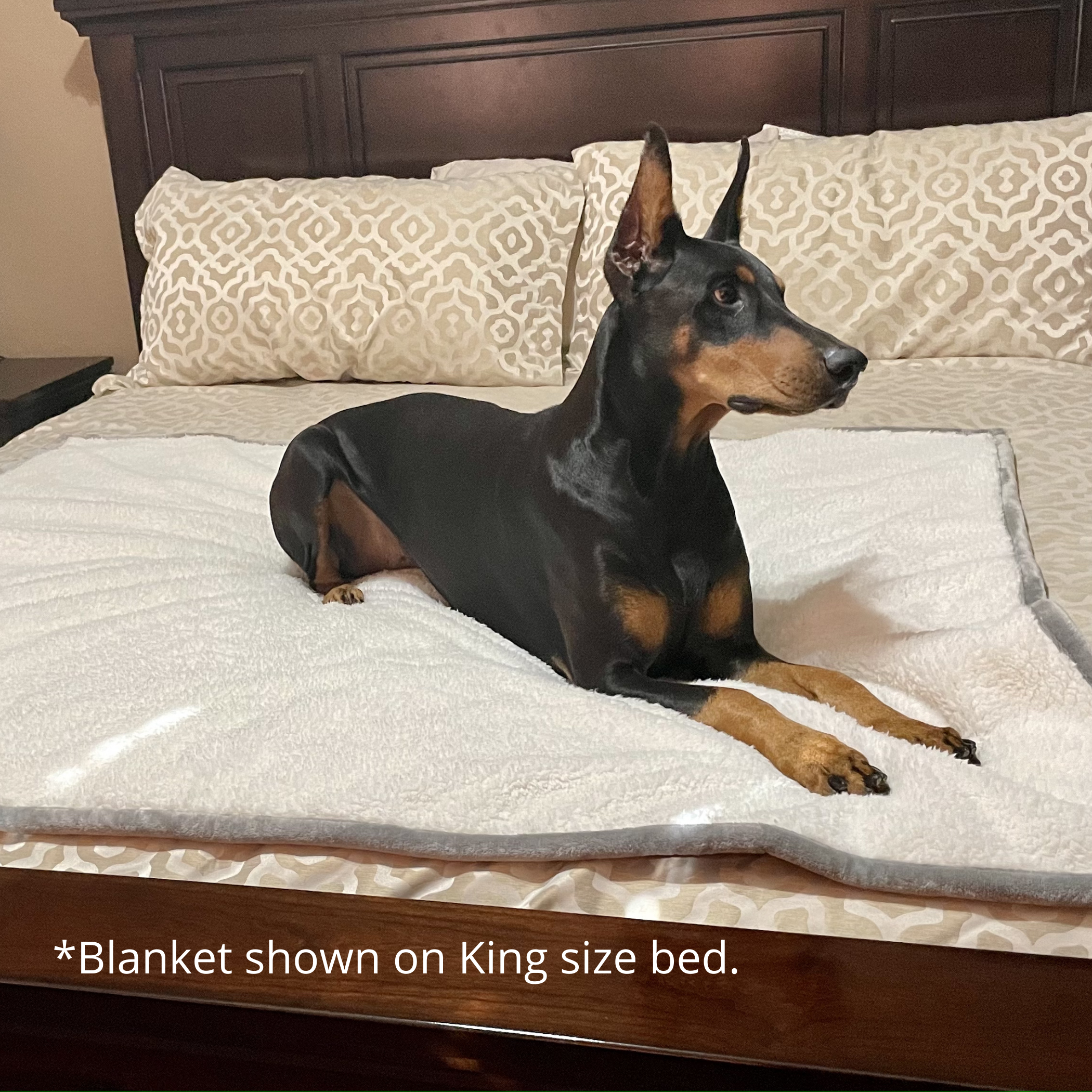 King size dog 2024 blanket